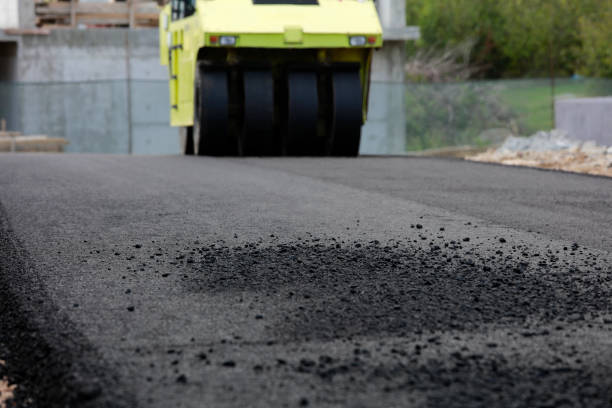 Best Paver Driveway Replacement  in Franklin Park, FL
