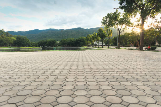 Best Local Driveway Pavers  in Franklin Park, FL
